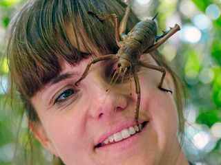 Neuseeland - Gletscher, Vulkane und Kiwis Neuseeland - Gletscher, Vulkane und Kiwis
