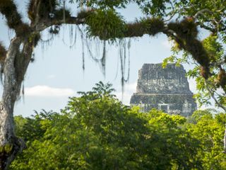 Wildes Mittelamerika