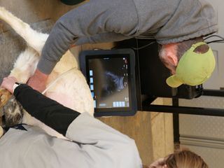 Heartland Docs - Die Tierarzt-Familie