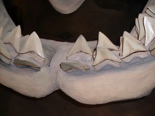 Frauen in der Urgeschichte