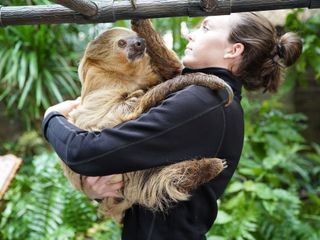 Die Superkraefte der Tiere Die Superkraefte der Tiere