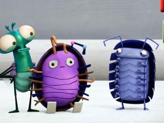 Bienvenue chez les mouches