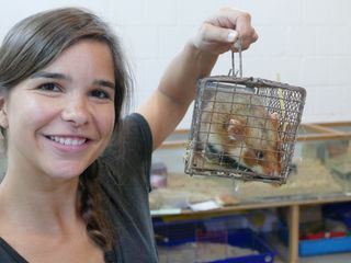 Anna und die wilden Tiere