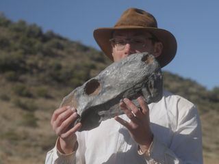 Katastrophen der Erdgeschichte