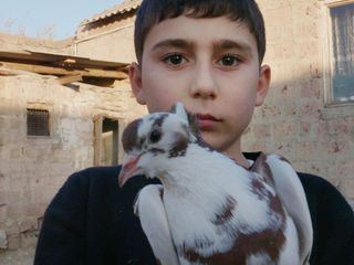 Verlorene Heimat - Eine Kindheit zwischen den Fronten