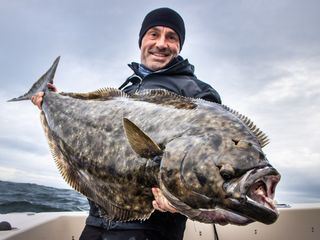 Die letzten Giganten: Riesenfische
