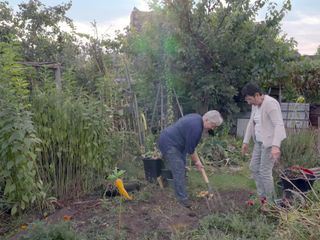 Der Schrebergarten