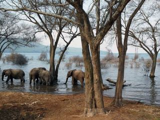 Tanganjikasee - Das blaue Herz Afrikas