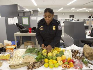 Schmugglern auf der Spur