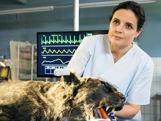 Tieraerztin Dr. Mertens