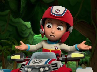 Paw Patrol: Helfer auf vier Pfoten