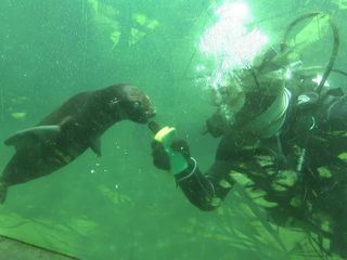 Giraffe, Erdmaennchen & Co.