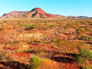 Westaustralien - Überleben im Outback