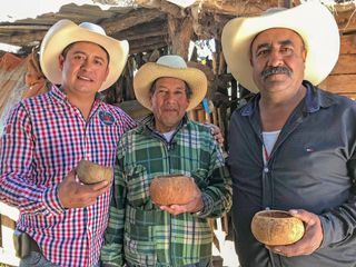 Unbekanntes Mexiko