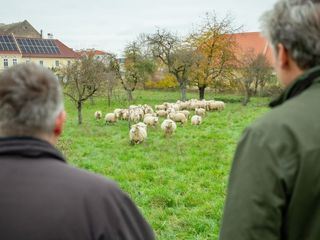 Herrgottszeiten! - Johann-Philipps Klosterbesuche