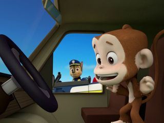 Paw Patrol - Helfer auf vier Pfoten