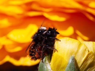 Erlebnis Österreich