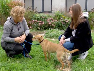 Ein Herz fuer Tiere - Tierschutz in Niederoesterreich