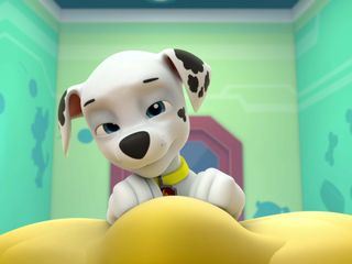 PAW Patrol - Helfer auf vier Pfoten PAW Patrol - Helfer auf vier Pfoten