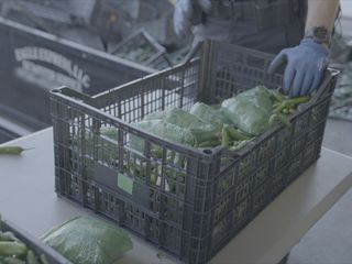 Schmugglern auf der Spur