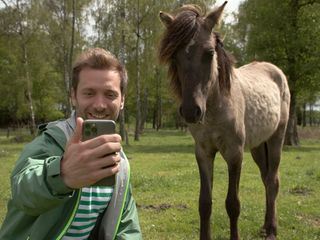 Das Beste im Westen - Daniel Assmanns Sommer-Highlights