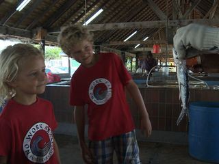 Mein Bruder und ich - In der Karibik