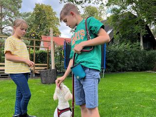 Liebste Fellnasen - Abenteuer Hundeschule