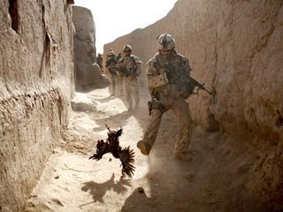 Die Fotografin und der Krieg