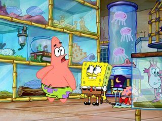 SpongeBob Schwammkopf