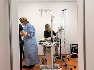 Tierarzt fuer alle Felle