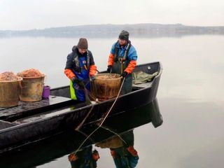 Suesser See: Fische, Wein, verborgene Schaetze