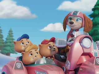 Paw Patrol: Helfer auf vier Pfoten Paw Patrol: Helfer auf vier Pfoten