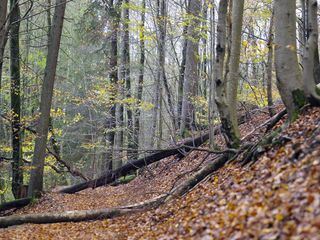 Pakt mit der Natur