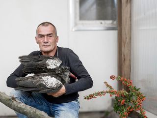 Umwelt-Crime: Das Millionengeschaeft des Vogelschmugglers