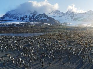 Natur - Die Geschichte unseres Planeten Natur - Die Geschichte unseres Planeten