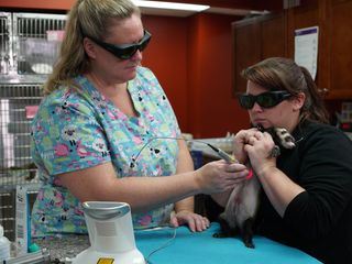 Dr. Ks tierische Notaufnahme