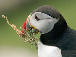 Kerry - Irlands wilder Westen
