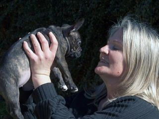 Auf den Hund gekommen - der Vorarlberger zweitliebstes Haustier