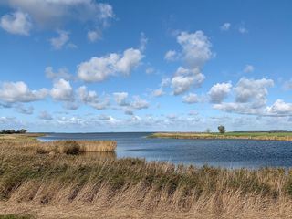 Die Ostsee, Sehnsuchtsort der Kraniche