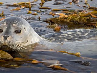 Unsere Ozeane Unsere Ozeane
