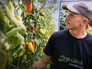 Wozu noch ackern? Landwirtschaft in Gefahr
