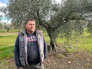Re: Wut auf Spaniens Olivendiebe