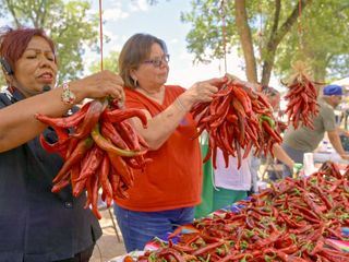 Die Welt der Gewuerze
