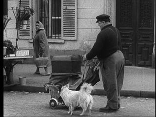 Denk ich an Fifi in Paris