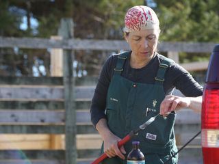 Die Yukon-Tieraerztin