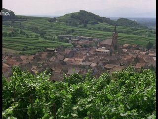 Der Kaiserstuhl