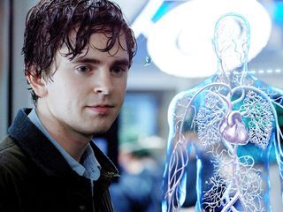 The Good Doctor The Good Doctor
