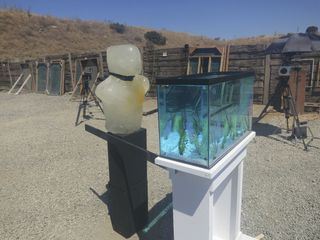 MythBusters - Die Wissensjaeger