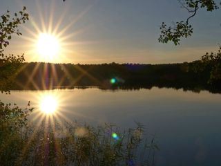 Mecklenburgs geheime Wasserwildnis