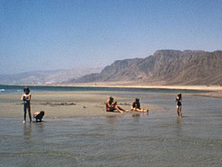 The Camera of Doctor Morris